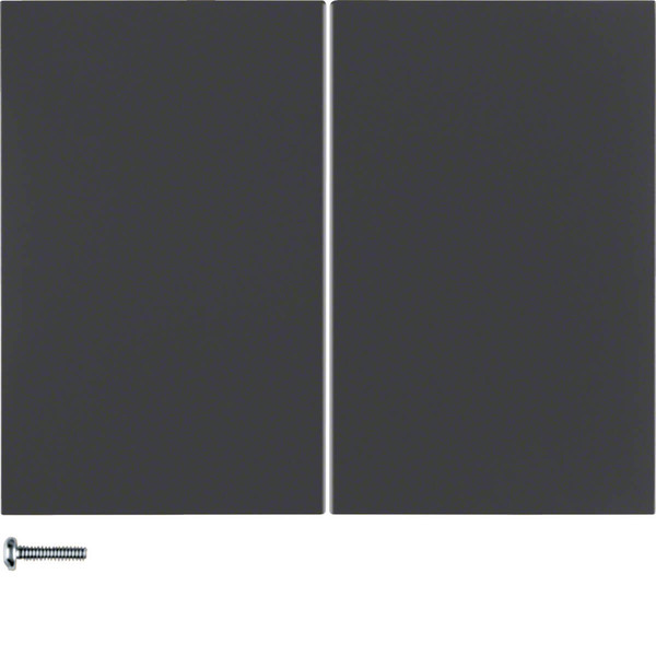 Berker 85146175 KNX-Funk Taste 2fach quicklink K.1 anthrazit. matt