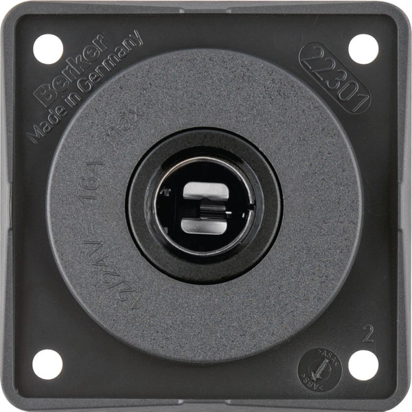 Berker 945172505 Steckdose 12 V. Integro Modul-Einsätze. anthrazit matt