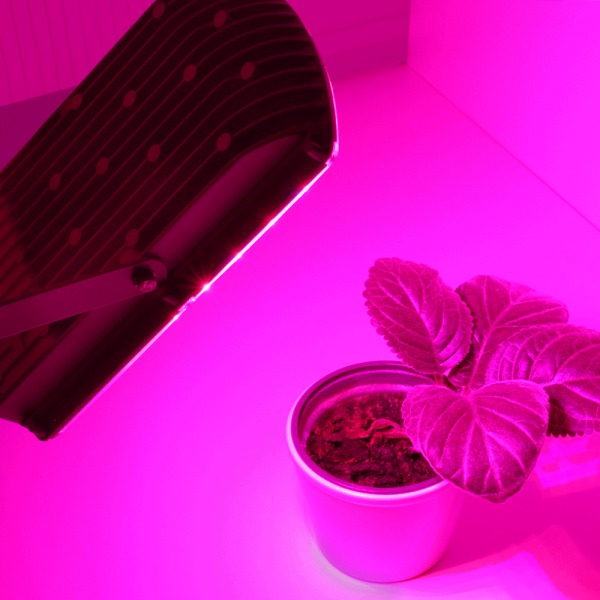 Bioledex GoLeaf LED Pflanzenleuchte 25W - Rot-blaue Grow Pflanzenbeleuchtung