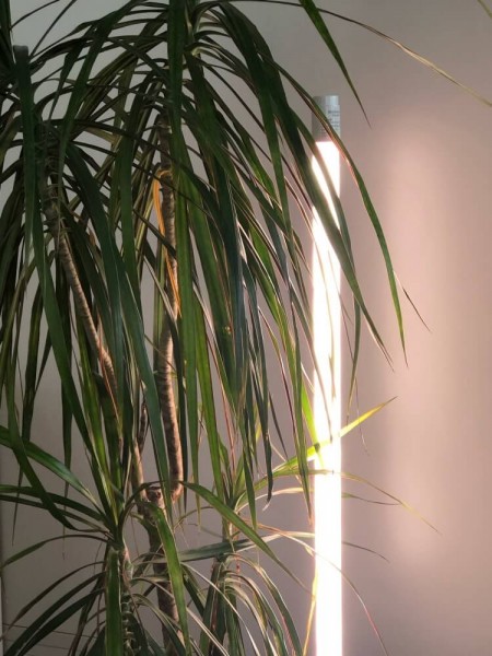 Bioledex Metall Erdspieß für vertikale Pflanzenbeleuchtung TIP65-System