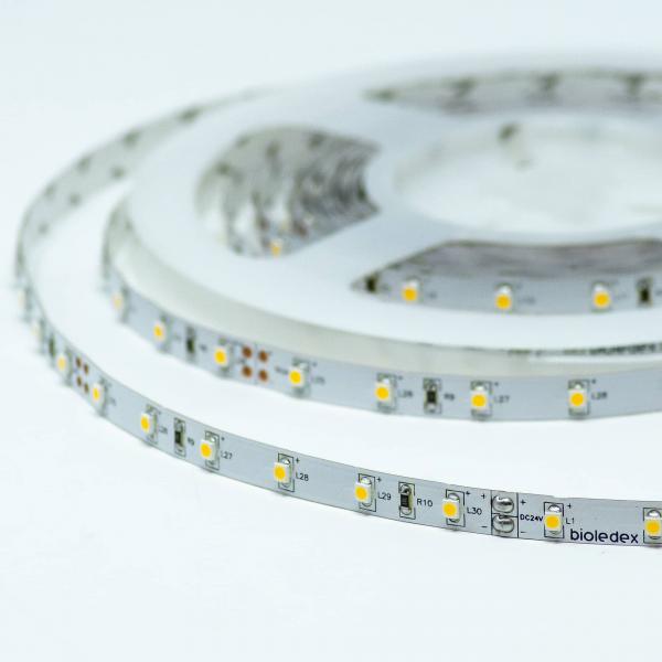 Bioledex LED Streifen 24V 5W/m 60LED/m 5000K 5m Rolle tageslichtweiss