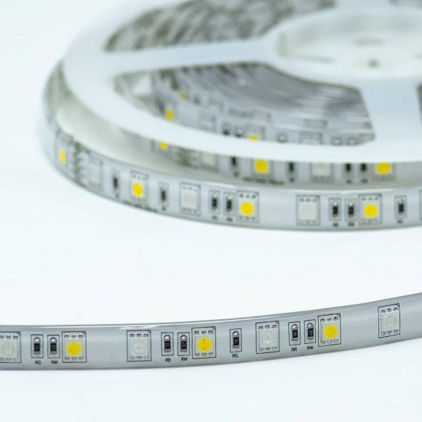 Bioledex LED Streifen 24V 14,4W/m 60LED/m RGB+WW IP65 5m Rolle Farbwechsel