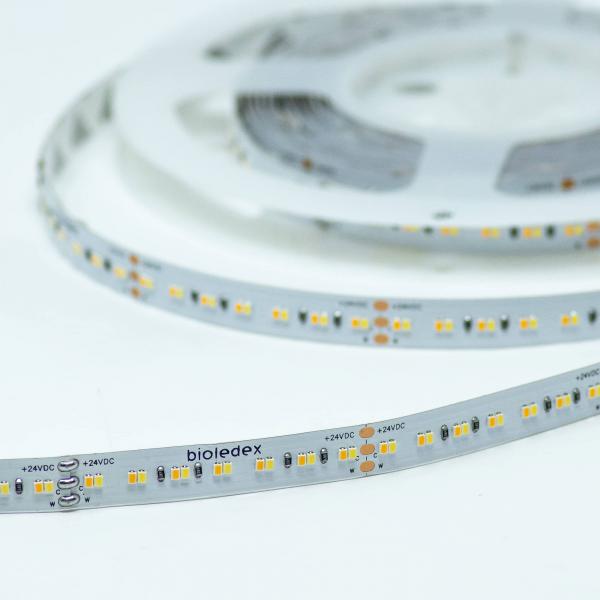 Bioledex LED Streifen 24V 90Ra 19,2W/m 252LED/m 2700-6500K 5m Rolle tunable white