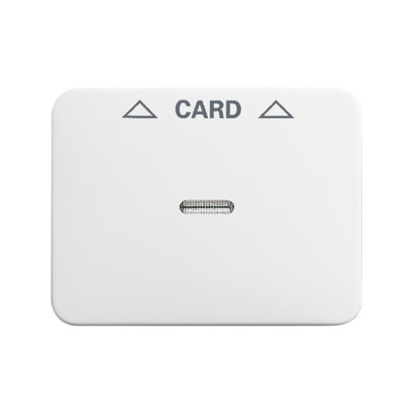 Busch-Jaeger Zentralscheibe Cardschalter 2CKA001710A3297 1792-24G-101
