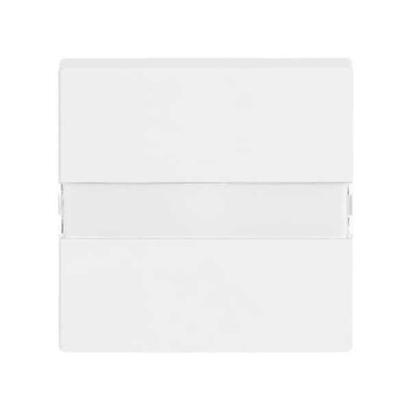 Busch-Jaeger Wippe mit Beschriftungsfeld 2CKA001731A1877 1764 NLI-84
