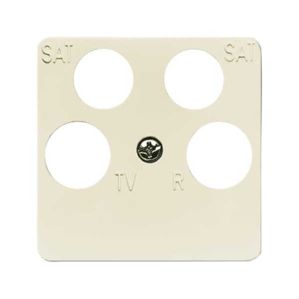 Busch-Jaeger Zentralscheibe 50 x 50mm 2CKA001753A8634 1743/10-04-212