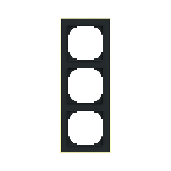 Busch-Jaeger Rahmen 3-fach mit Dekorring Busch-art linear 2CKA001754A4915 1723-453M