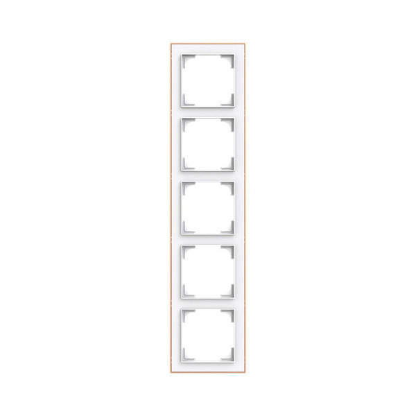 Busch-Jaeger Rahmen 5-fach mit Dekorring Busch-art linear 2CKA001754A4926 1725-441M