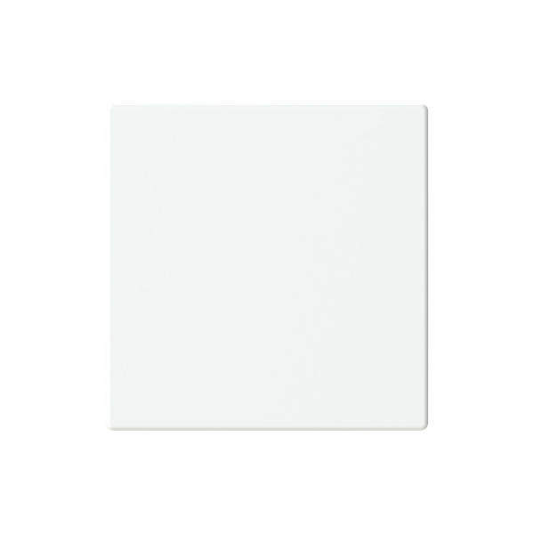 Busch-Jaeger Abdeckung, 1-fach für Keypad Format 63 - solo/future LFW/A.1.63.11-884 2CKA006199A0046 LFW/A.1.63.11-884