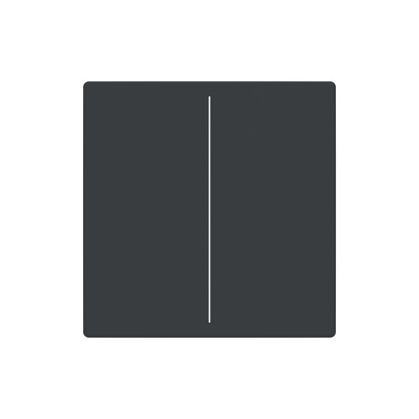 Busch-Jaeger Abdeckung, 2-fach für Keypad Format 63 - solo/future LFW/A.2.63.11-81 2CKA006199A0050 LFW/A.2.63.11-81