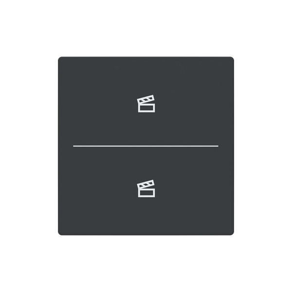 Busch-Jaeger Abdeckung als Taster 2-fach mit Symbol Szene Format 63 - solo/future 2CKA006199A0231 LFST/A.2.63.11-81