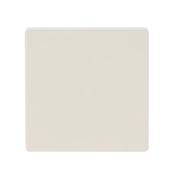 Busch-Jaeger Wippe 1-fach, ohne Bedruckung 2CKA006220A0396 6230-10-82