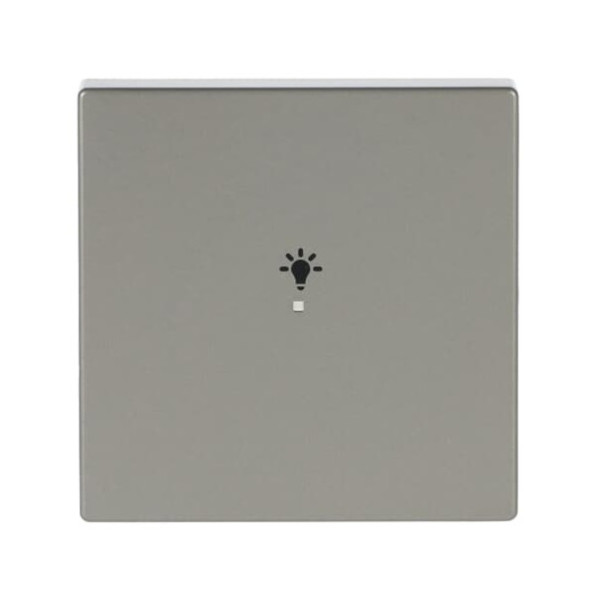 Busch-Jaeger Wippe 1-fach, mit Symbol Licht 2CKA006220A0414 6231-10-866