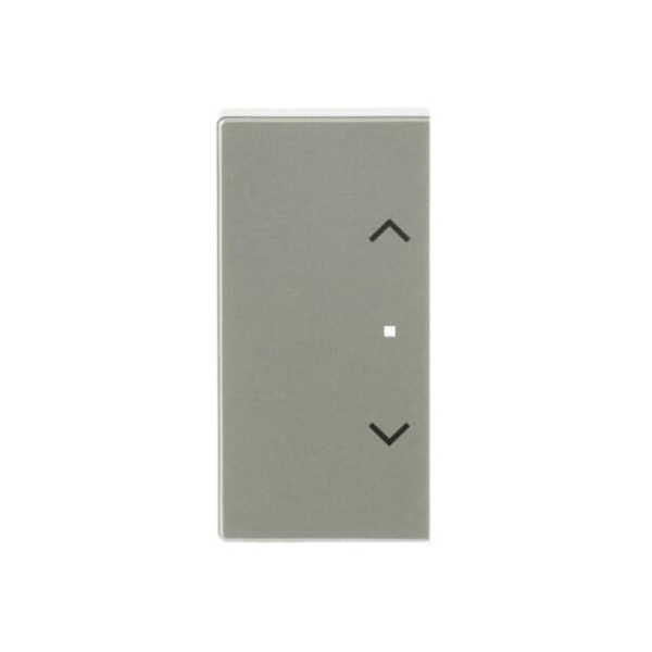 Busch-Jaeger Wippe 2-fach links/rechts, mit Symbol Jalousie 2CKA006220A0420 6232-20-866