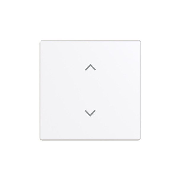 Busch-Jaeger Wippe 1-fach, mit Symbol Jalousie Format 63 2CKA006220A0988 6735-11-84