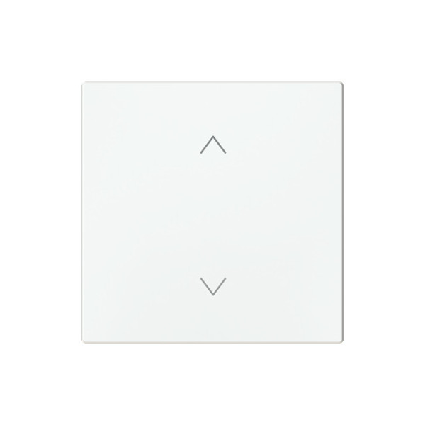 Busch-Jaeger Wippe 1-fach, mit Symbol Jalousie Busch-art linear 2CKA006220A0993 6735-11-44G