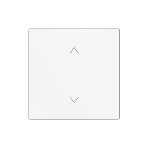 Busch-Jaeger Wippe 1-fach, mit Symbol Jalousie Busch-art linear 2CKA006220A0994 6735-11-44M