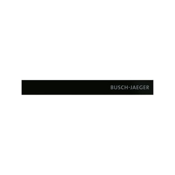 Busch-Jaeger Abschlussleiste unten mit Temperaturfühler und Schriftzug Busch-priOn 2CKA006310A0160 6352-825-101