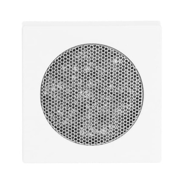Busch-Jaeger Zentralscheibe 2CKA008200A0081 8253-84