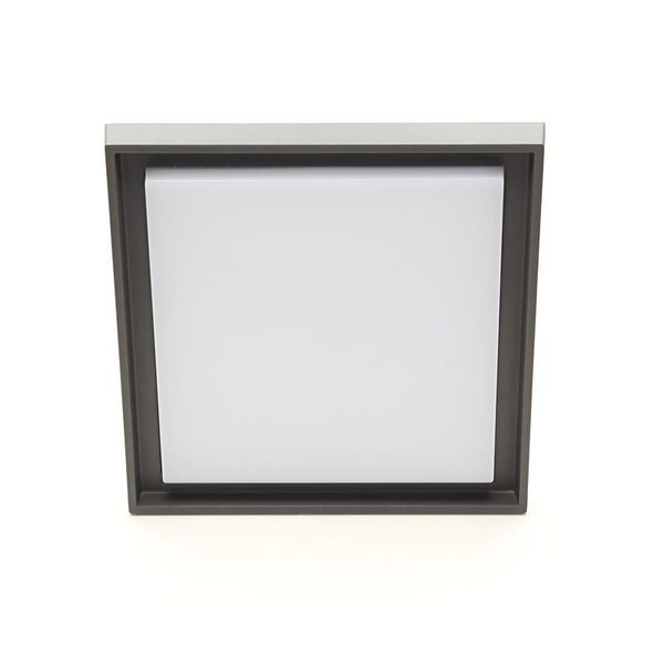 Deko-Light Deckenaufbauleuchte Arneb, Warmweiß, Graphitgrau, IP54 348070