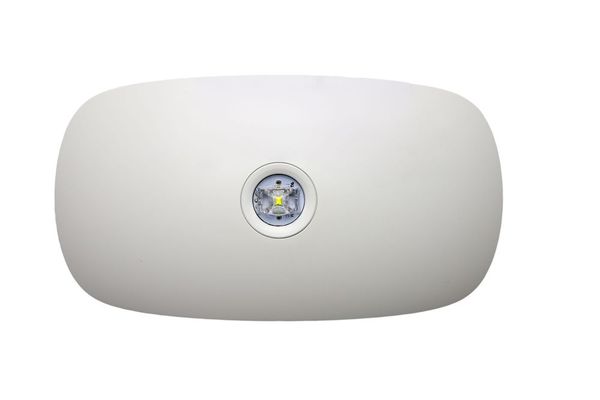 Deko-Light Wandaufbauleuchte Notleuchte Almach für die Beleuchtung von Flächen, Neutralweiß , Weiß, IP42 731143