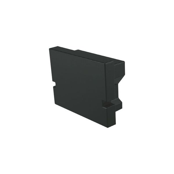 Deko-Light Endkappe H-AU-01-10 Set 2 Stk, Schwarz, 16mm 979002