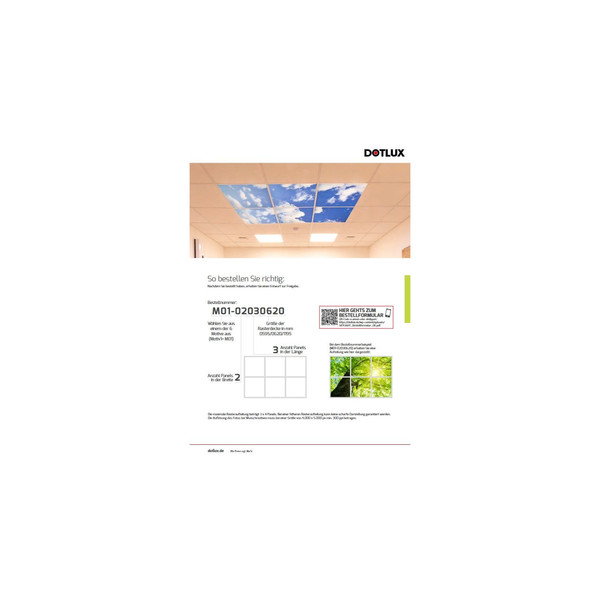 Dotlux M04-01010620 Motivplatte SKYLIGHT für Einbaupanels Motiv 4 Raster 1x1 für 620x620