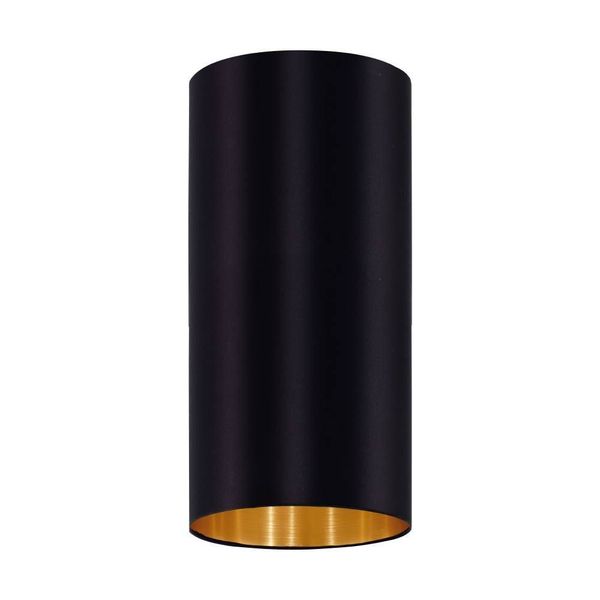 Eglo 61408 PASTERI PRO E27 Schirm Ø120mm