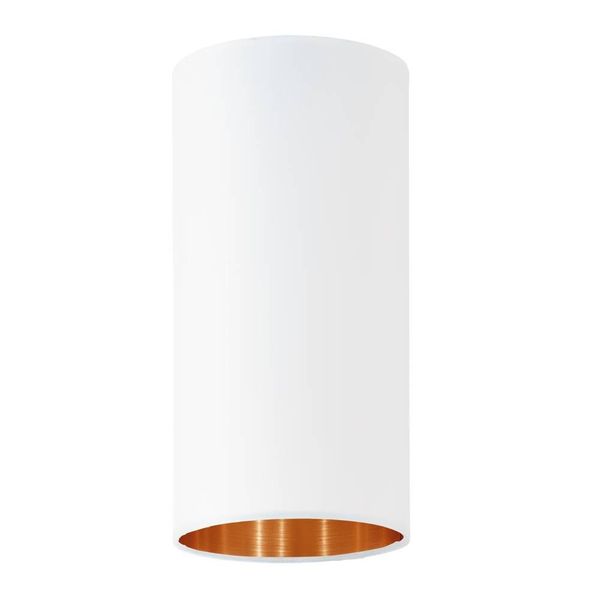 Eglo 61877 PASTERI PRO E27 Schirm Ø120mm