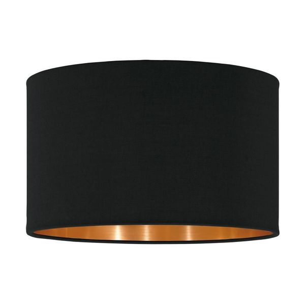 Eglo 62666 PASTERI PRO Schirm Ø300mm