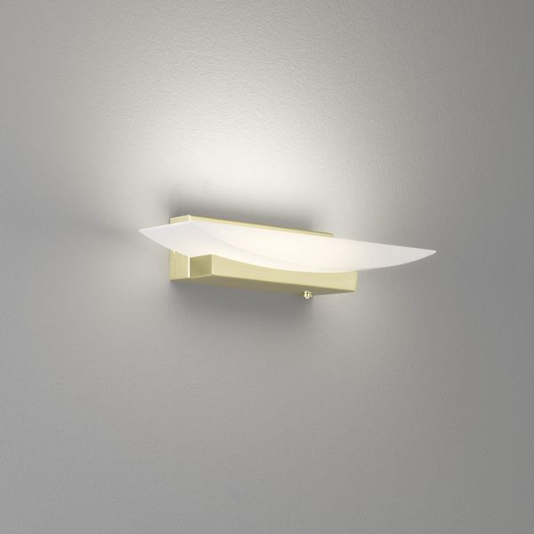 Fischer & Honsel Bowl TW LED Wandleuchte 8,3W Tunable white steuerbar dimmbar Acrylglas messing 30417