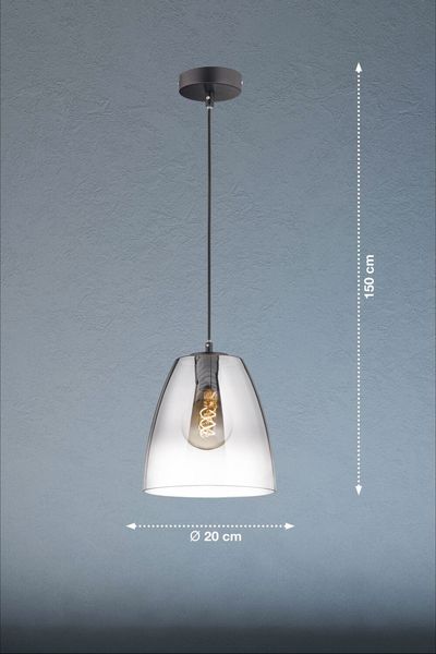 Fischer & Honsel Miro Pendelleuchte E27 Glas rauchfarben sandschwarz 60840