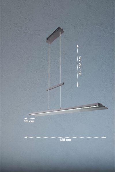 Fischer & Honsel Nana LED Pendelleuchte 29W Tunable white steuerbar dimmbar Glas rauchfarben teilsatiniert sandschwarz 60862