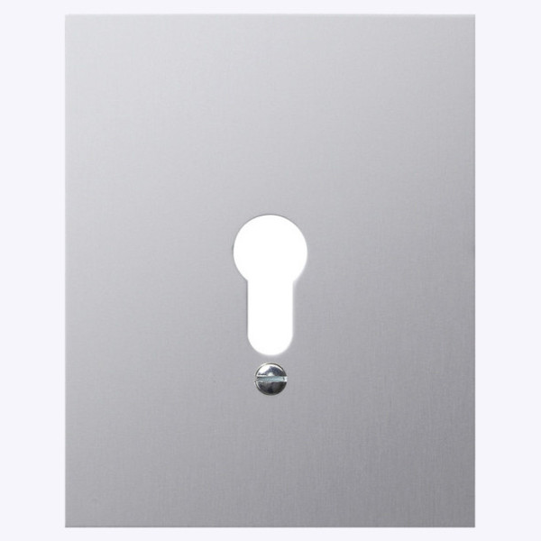 Gira 009830 MetallAbdeckung o.Symbole WG AP Aluminium