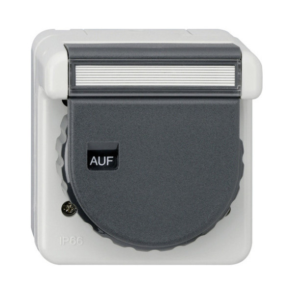 Gira 044031 SCHUKO-Steckdose KD Bajonett + Beschriftungsfeld WD AP Grau