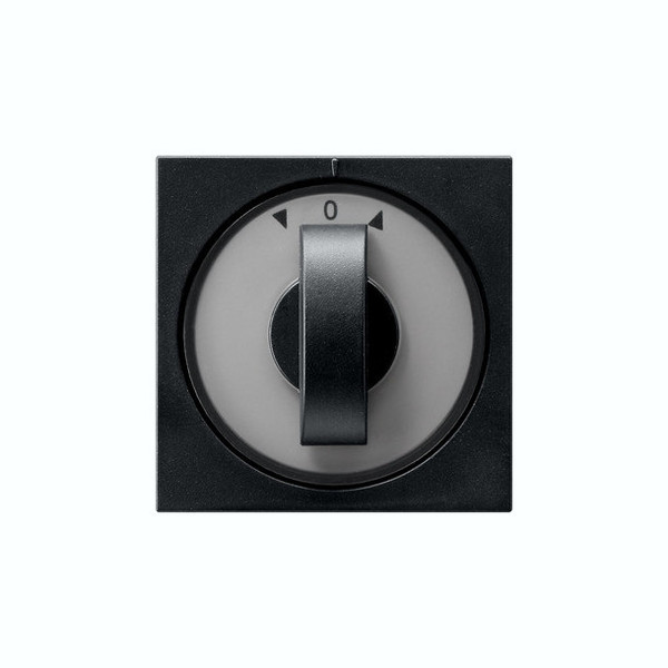 Gira 0666005 Abdeckung Knebel Zeitschalter + Jalousie System 55 Schwarz m