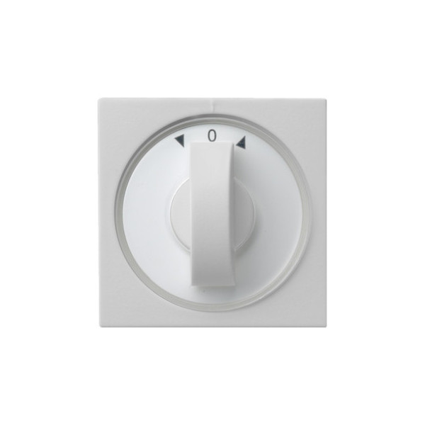 Gira 0666015 Abdeckung Knebel Zeitschalter + Jalousie System 55 Grau m