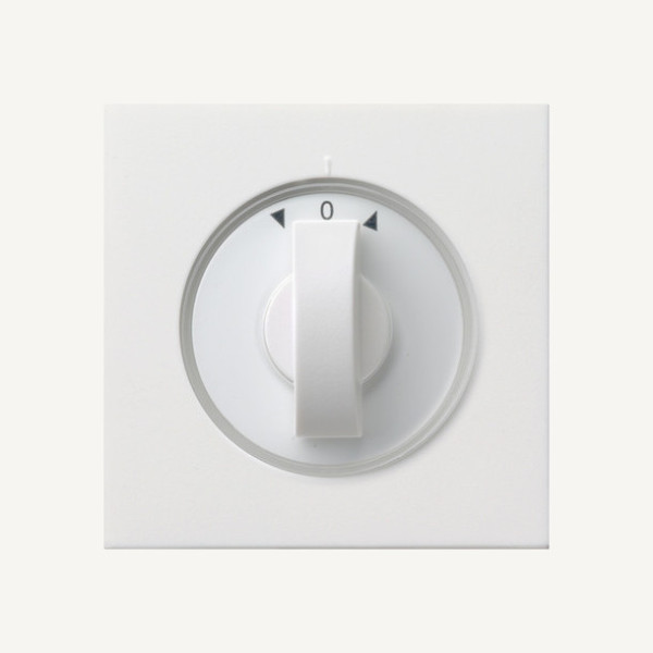 Gira 0666112 Abdeckung Knebel Zeitschalter + Jalousie Flächenschalter Reinweiß