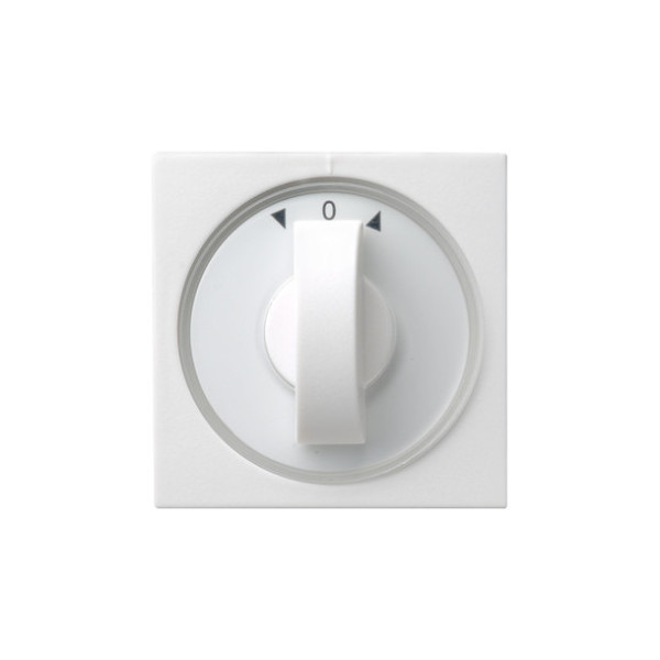 Gira 066627 Abdeckung Knebel Zeitschalter + Jalousie System 55 Reinweiß m