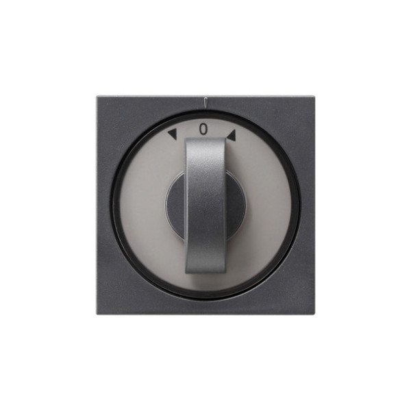 Gira 066628 Abdeckung Knebel Zeitschalter + Jalousie System 55 Anthrazit