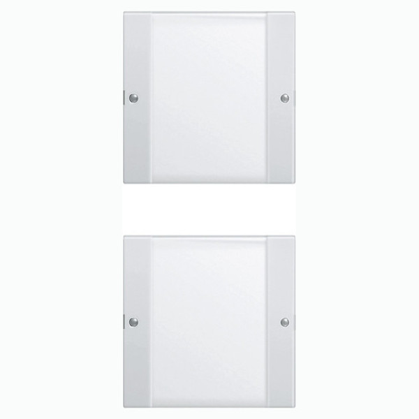 Gira 213203 Wippenset 2-fach (1+1) Beschriftungsfeld System 55 Klar/Reinweiß