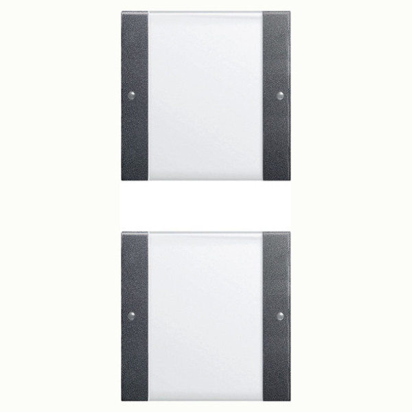 Gira 213228 Wippenset 2-fach (1+1) Beschriftungsfeld System 55 Klar/Anthrazit