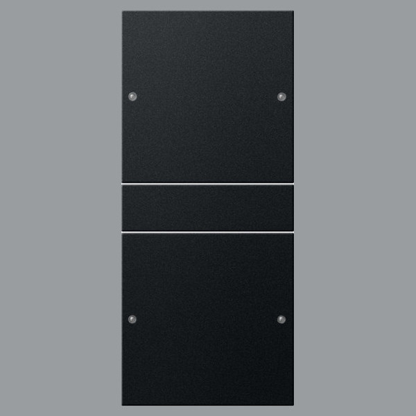 Gira 2182005 Wippenset 2-fach (1+1) System 55 Schwarz m(lack.)