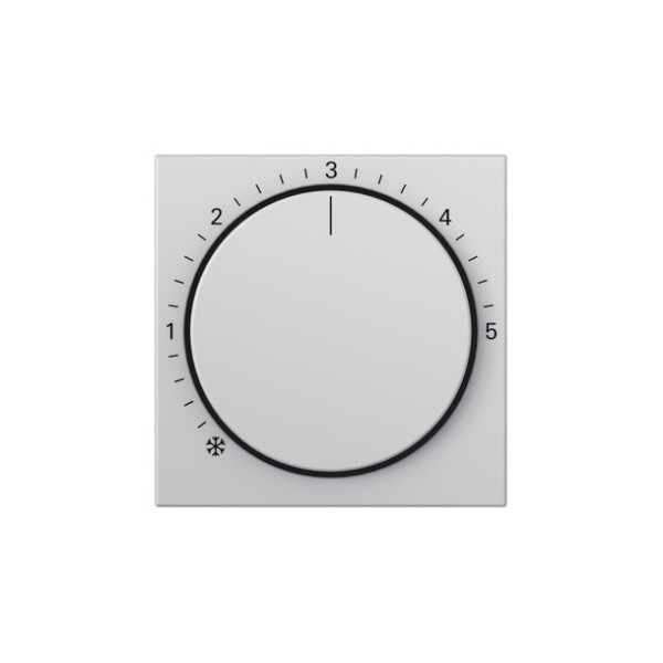 Gira 2706015 Abdeckung RTR System 55 Grau m