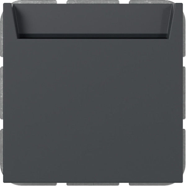 Gira 314028 Hotel-Card Schließer + N-Kl. System 55 Anthrazit