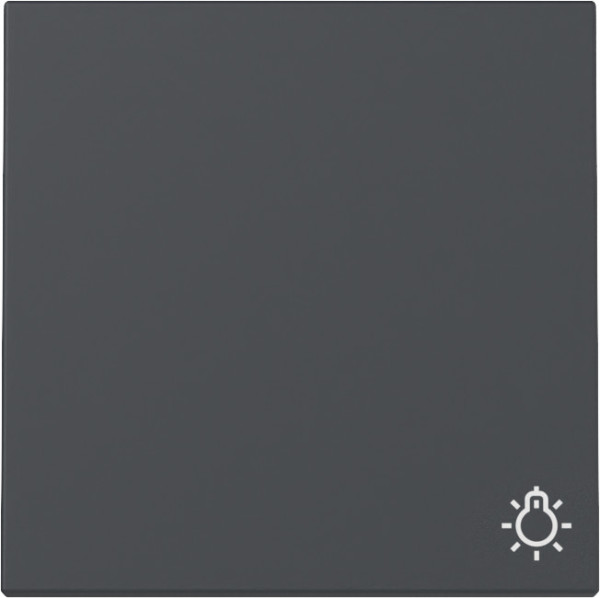 Gira 328528 Wippe Symbol Licht System 55 Anthrazit