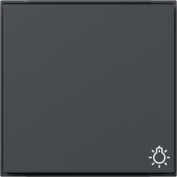 Gira 328567 Wippe Symbol Licht Gira TX_44 (WG UP) Anthrazit