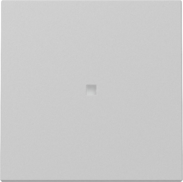 Gira 3290015 Wippe Kontrollfür System 55 Grau m