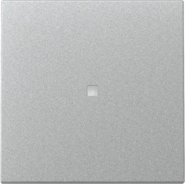 Gira 329026 Wippe Kontrollfür System 55 F Alu