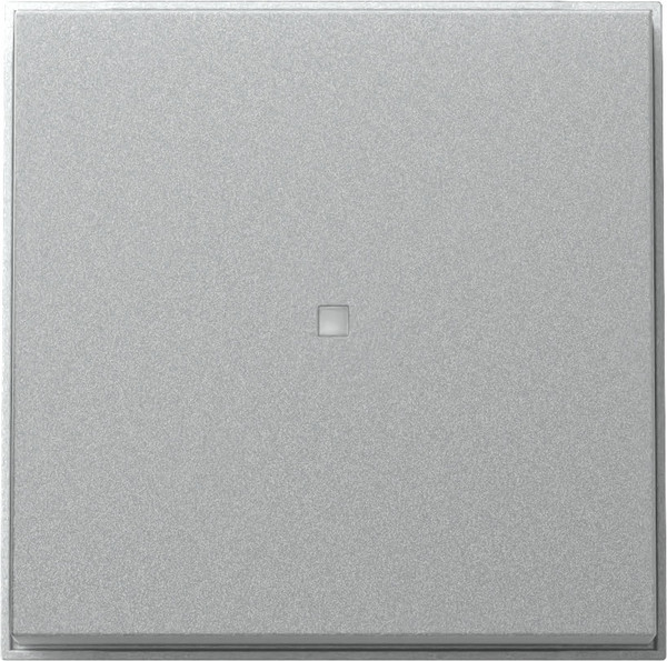 Gira 329065 Wippe Kontrollfür Gira TX_44 (WG UP) F Alu